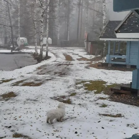 Kiviniemi Holiday park Kangasniemi