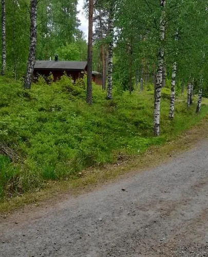 Vakantiepark Kiviniemi Kangasniemi