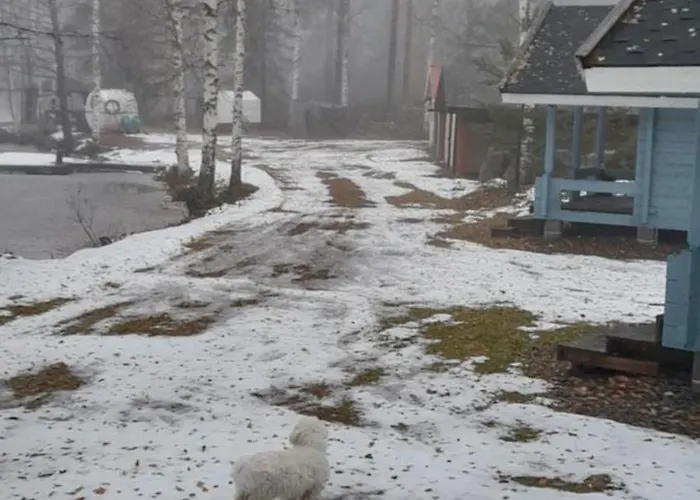 Kiviniemi Vakantiepark Kangasniemi